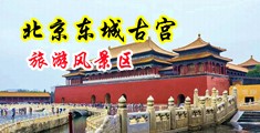 屄欧美中国北京-东城古宫旅游风景区